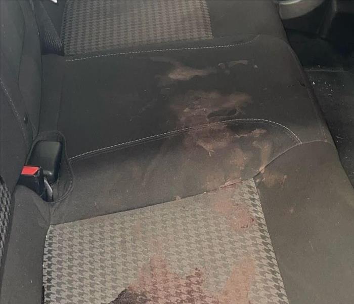 Front seat of a vehicle with bloodstains